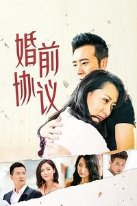 婚前协议 (2013)