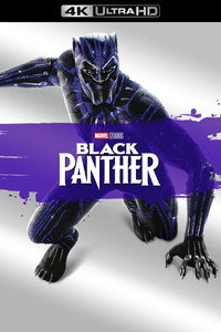 Постер фильма «Чёрная Пантера (2018)» — (25 из 292)