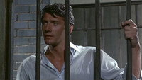 «Casse-tête chinois pour le judoka (1967)» — обои к фильму #1
