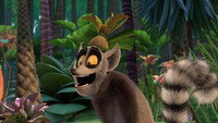 Enter the Fanaloka