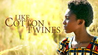 «Like Cotton Twines (2016)» — обои к фильму #2