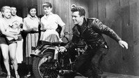 «Банда мотоциклистов (1957)» — обои к фильму #1