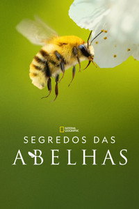 Segredos das Abelhas (2026) S01E02
