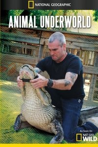 Animal Underworld (2012)