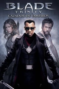 Poster de Blade: Trinity