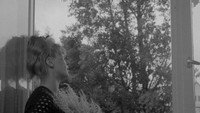 «Жених, комедиантка и сутенер (1968)» — обои к фильму #1
