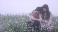 «Знаменитые и мертвые (2009)» — обои к фильму #3