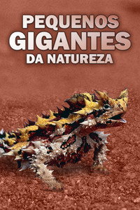 Pequenos Gigantes da Natureza S02E14