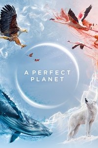 copertina serie tv A+Perfect+Planet 2021