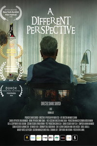 A Different Perspective (2025) poster