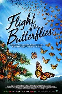Poster de Flight of the Butterflies