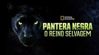 The Real Black Panther