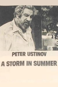 Poster de A Storm in Summer