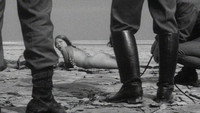 «Лето в Японии: Двойное самоубийство (1967)» — обои к фильму #1