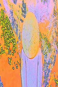 Imagem do Filme Moritoro