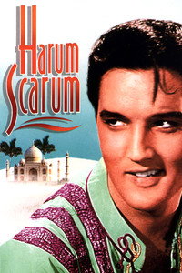 Постер фильма «Каникулы в гареме (1965)» — (6 из 18)