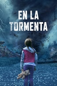 Poster de En la tormenta