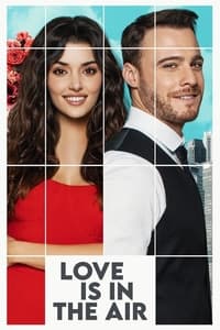 tv show poster Love+Is+in+the+Air 2020