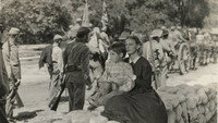 «Так красна роза (1935)» — обои к фильму #2