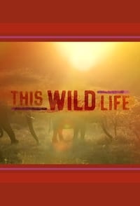 Poster de This Wild Life