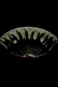 Постер мультфильма «Шарик (1991)» — (2 из 3)