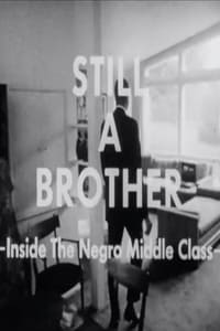 Poster de Still A Brother: Inside the Negro Middle Class