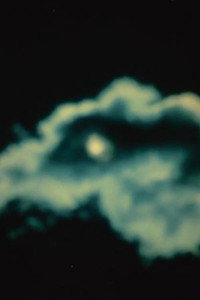 Постер фильма «The Cat of the Worm's Green Realm (1997)» — (9 из 13)