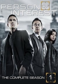 Person of Interest 1×1