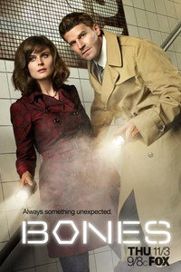 Постер сериала «Кости (2005 - 2017)» — (73 из 181)