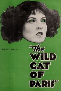 Poster de The Wildcat of Paris