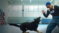 «Canine Intervention (2021)» — обои к сериалу #1