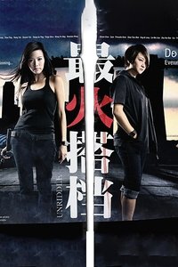 最火搭档 (2010)