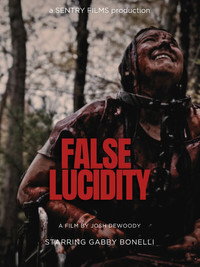 False Lucidity (2026) poster