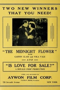 The Midnight Flower