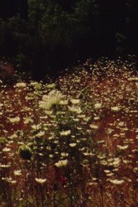 Near Loutra Iraias (2012) poster