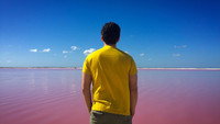 «La Laguna Rosa (The Pink Lagoon) (2021)» — обои к фильму #1