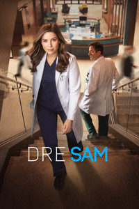 Affiche de la recommandation : Good Sam