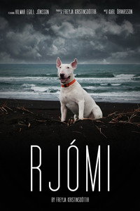 Rjómi (2018) poster