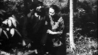 «Сборщица персиков (1931)» — обои к фильму #4