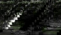 Nyctophobia