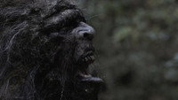 «Stomping Ground (2016)» — обои к фильму #1