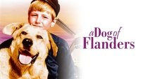A Dog of Flanders