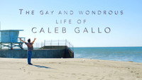 «The Gay and Wondrous Life of Caleb Gallo (2016)» — обои к сериалу #7