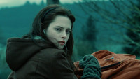 Twilight - Chapitre 1 : Fascination