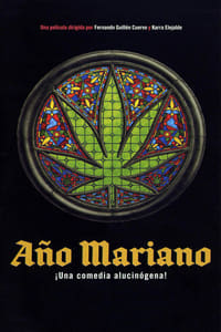 Poster de Año Mariano