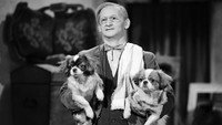 «Галоши счастья (1958)» — обои к фильму #3