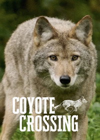 Coyote Crossing image