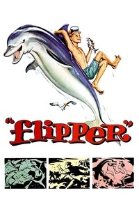 Flipper poster