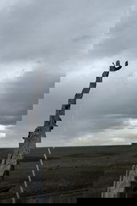 Imagem do Filme A Few Attempts to Understand the Sky
