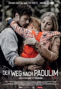 Постер к фильму Der Weg nach Padulim (2020)